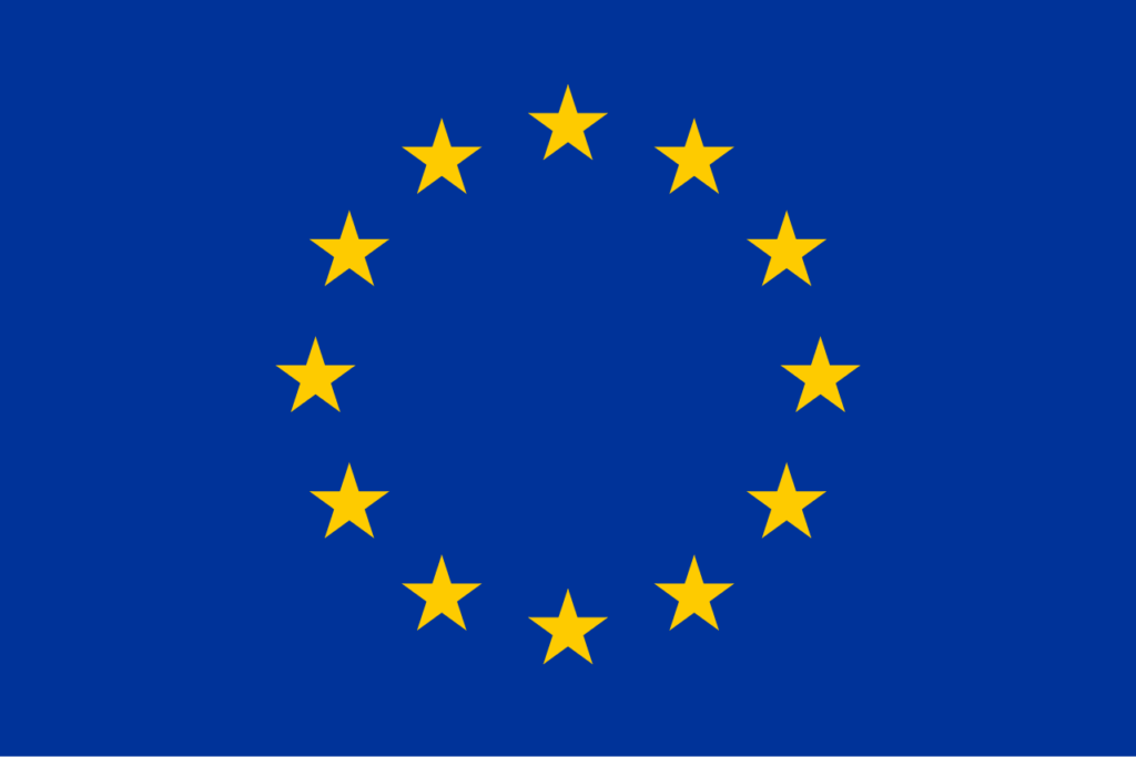 Projekt unijny